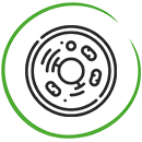 ЕГЭ по биологии